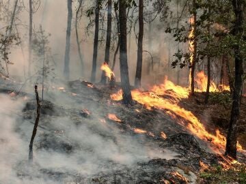 Incendio en el sur de Francia