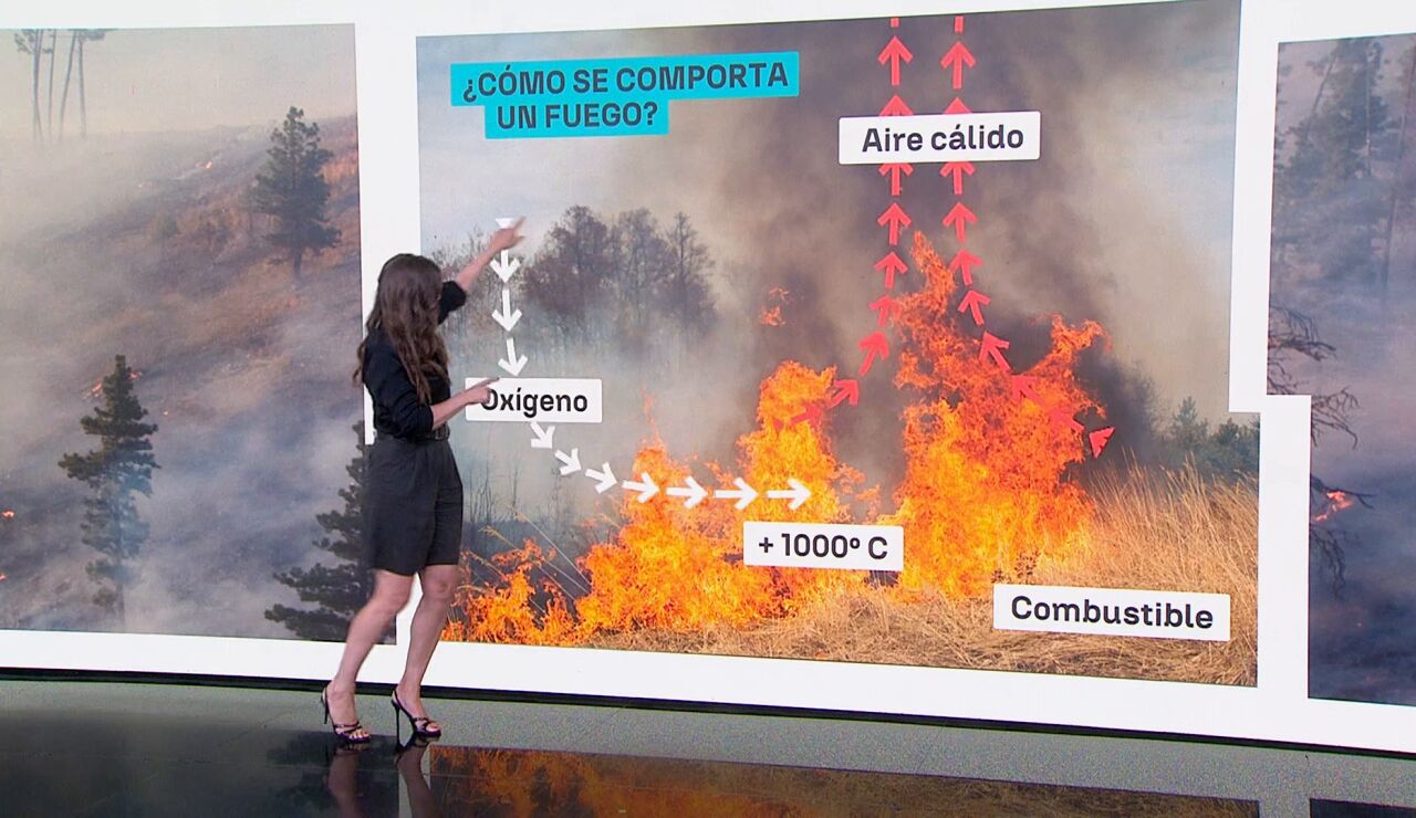 C&oacute;mo se comportan los incendios, Mercedes Mart&iacute;n