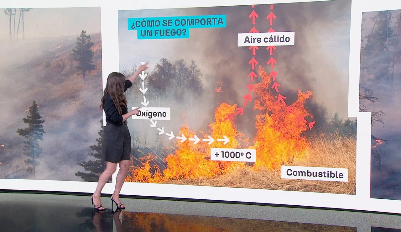 Cómo se comportan los incendios, Mercedes Martín