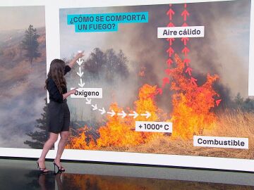 C&oacute;mo se comportan los incendios, Mercedes Mart&iacute;n