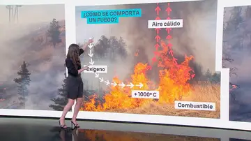 Cómo se comportan los incendios, Mercedes Martín Cómo se comportan los incendios, Mercedes Martín