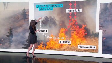 Mercedes Martín explica cómo se comporta un incendio: el fenómeno que hace que el fuego se retroalimente
