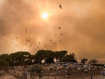 Ayuso: Madrid enfrenta el "peor incendio de su historia", la prioridad es salvar vidas y contin&uacute;an nuevos desalojos