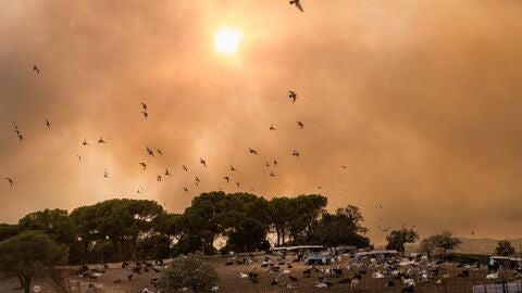 Ayuso: Madrid enfrenta el "peor incendio de su historia", la prioridad es salvar vidas y contin&uacute;an nuevos desalojos