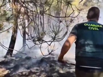 Las imágenes de la labor de los bomberos contra los incendios Las imágenes de la labor de los bomberos contra los incendios