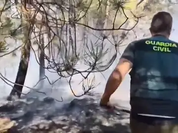 Las imágenes de la labor de los bomberos contra los incendios Las imágenes de la labor de los bomberos contra los incendios