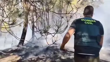 Las imágenes de la labor de los bomberos contra los incendios Las imágenes de la labor de los bomberos contra los incendios