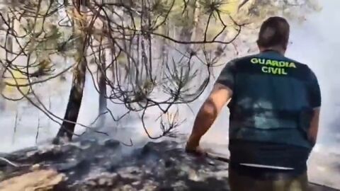 Las im&aacute;genes de la labor de los bomberos contra los incendios