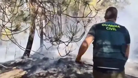 Las imágenes de la labor de los bomberos contra los incendios Las imágenes de la labor de los bomberos contra los incendios
