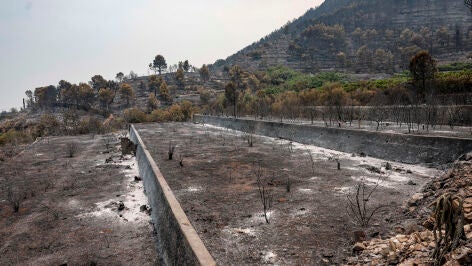 Imagen del incendio en Vall d'Uix&oacute;