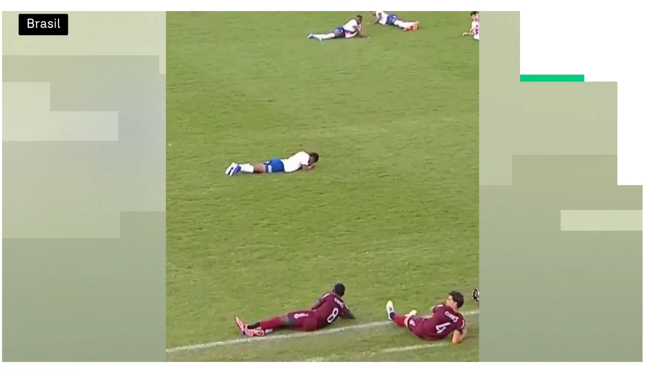 Invasión de abejas en un partido de fútbol en Brasil