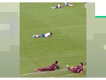 Invasión de abejas en un partido de fútbol en Brasil Invasión de abejas en un partido de fútbol en Brasil