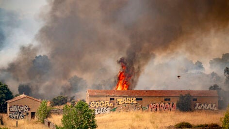Vista del incendio forestal, a 25 de julio de 2026, en San Mart&iacute;n de Valdeiglesias, Madrid (Espa&ntilde;a). Durante la noche ha beneficiado el cambio de condiciones meteorol&oacute;gicas, con menos viento, mayor humedad y menos temperatura, aunque el fuego sigue activo. La prioridad de las autoridades es evitar que el incendio alcance El Escorial o se una con el que afecta a la zona de Burgohondo, en &Aacute;vila.
25 JULIO 2026;FUEGO;INCENDIO;HELIC&Oacute;PTERO;BOMBEROS;HUMO;LLAMA;
A. P&eacute;rez Meca / Europa Press
25/07/...
