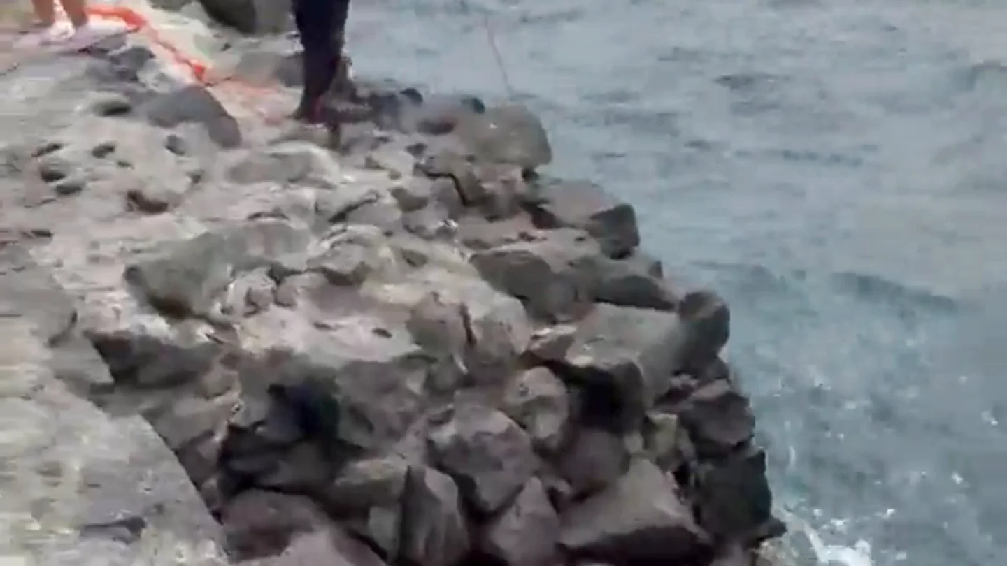 Vídeo: Salva a un bañista en apuros con un flotador y una cuerda Vídeo: Salva a un bañista en apuros con un flotador y una cuerda