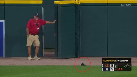 Una ardilla interrumpe un partido de la MLB en Detroit