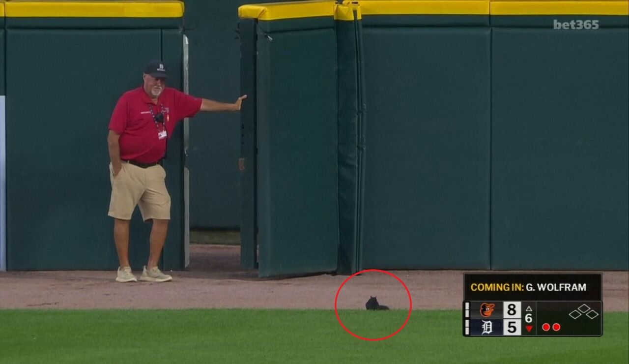 Una ardilla interrumpe un partido de la MLB en Detroit