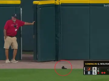 Una ardilla interrumpe un partido de la MLB en Detroit Una ardilla interrumpe un partido de la MLB en Detroit