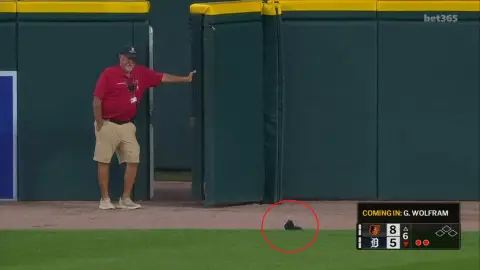 Una ardilla interrumpe un partido de la MLB en Detroit Una ardilla interrumpe un partido de la MLB en Detroit