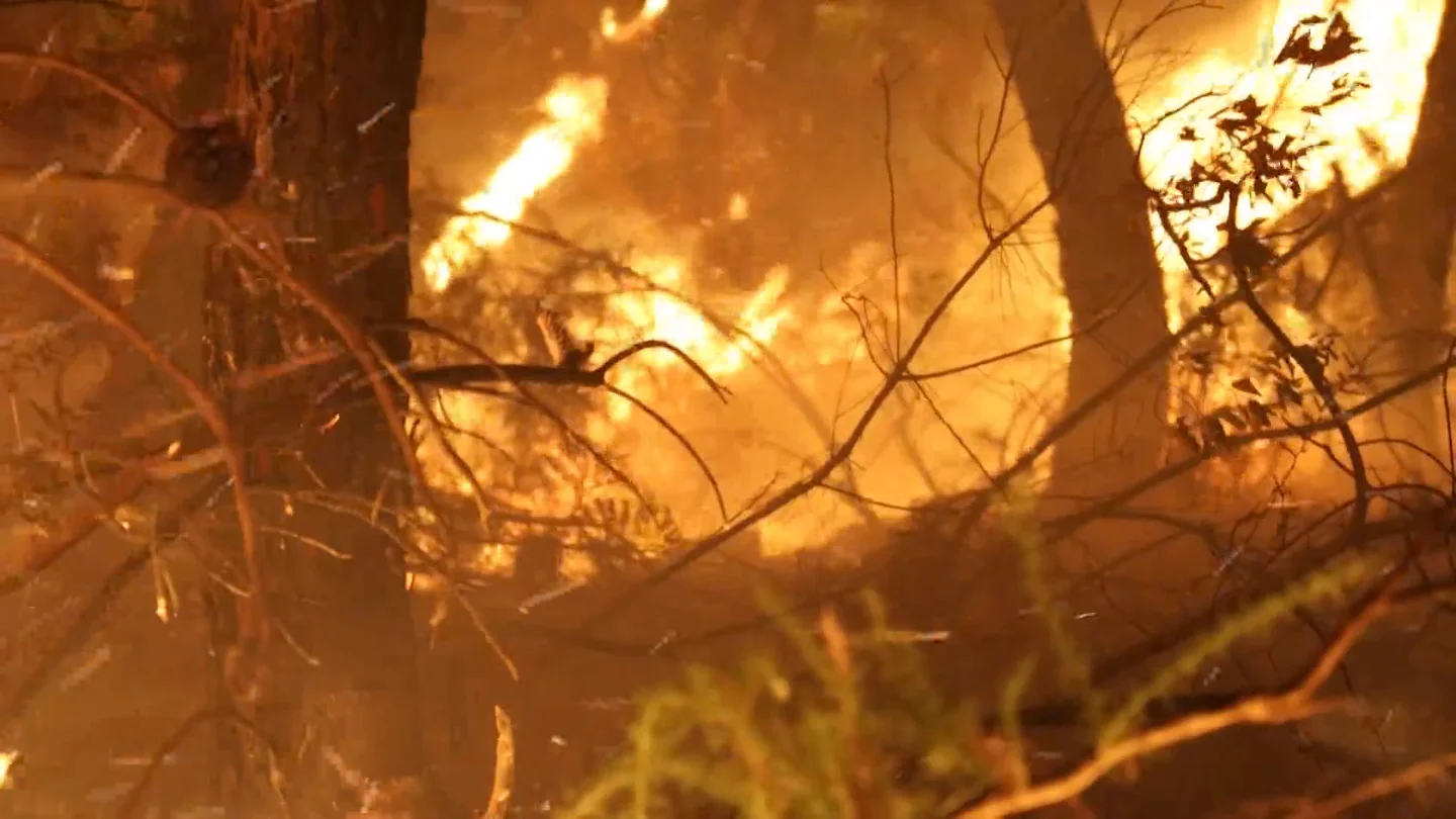 El sur de Europa arde sin control: preocupan los incendios de Portugal, Francia e Italia Incendios