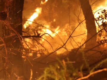 Incendios