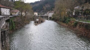 R&iacute;o Deba en Altzola