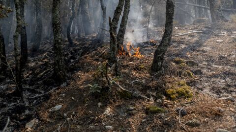 Incendio &Aacute;vila