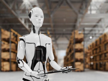 Robot humanoide Robot humanoide