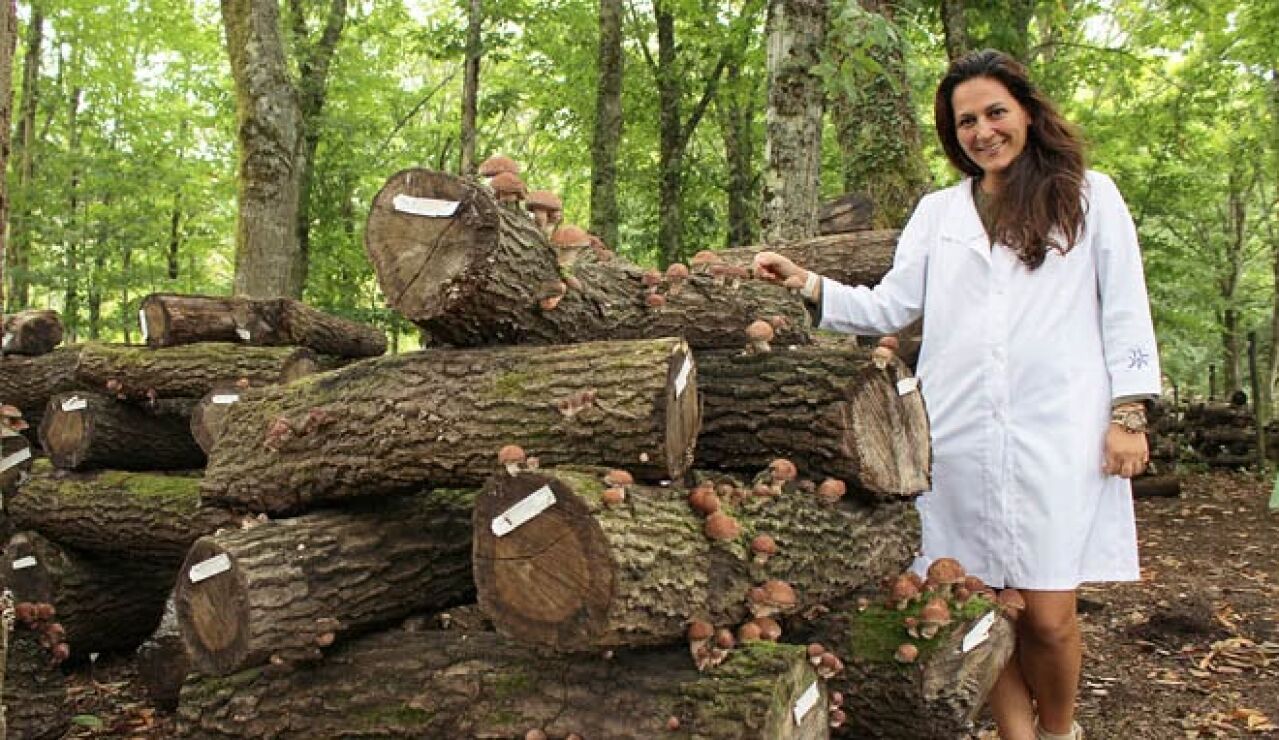 La micolog&iacute;a impulsa bosques m&aacute;s fuertes