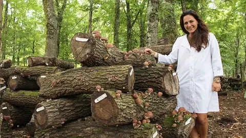 La micología impulsa bosques más fuertes La micología impulsa bosques más fuertes