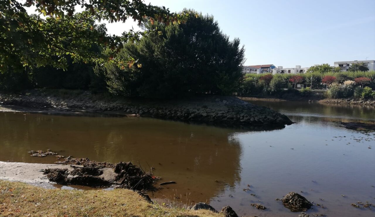 Isla de los Faisanes