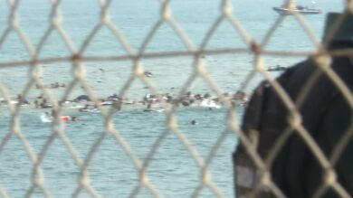 Cerca de 40.000 personas han cruzado ya la frontera de Marruecos a España: 