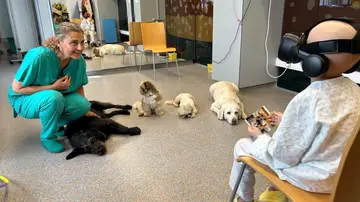 Perros y realidad virtual en el tratamiento del cáncer infantil Perros y realidad virtual en el tratamiento del cáncer infantil