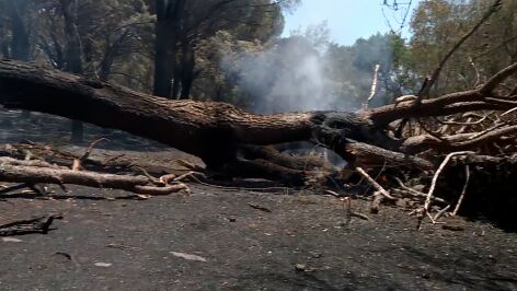 Incendios forestales