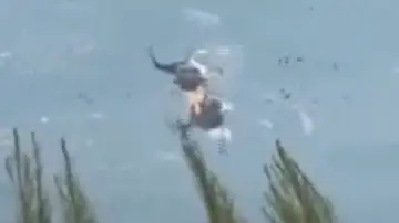 Imagen del accidente de helicópteros en Grecia Imagen del accidente de helicópteros en Grecia
