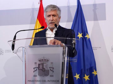 Imagen del ministro de Interior, Fernando Grande-Marlaska 