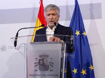 Imagen del ministro de Interior, Fernando Grande-Marlaska Imagen del ministro de Interior, Fernando Grande-Marlaska
