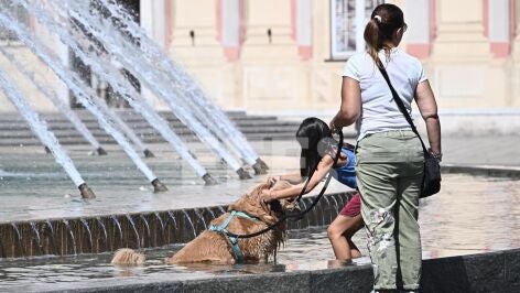 Un perro se refresca en la fuente de la Piazza De Ferrari, en el centro de la ciudad de G&eacute;nova.