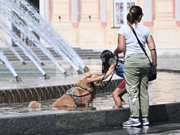 R&eacute;cord hist&oacute;rico: Todas las ciudades italianas en alerta roja por calor extremo