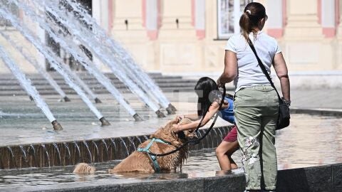 Un perro se refresca en la fuente de la Piazza De Ferrari, en el centro de la ciudad de G&eacute;nova.