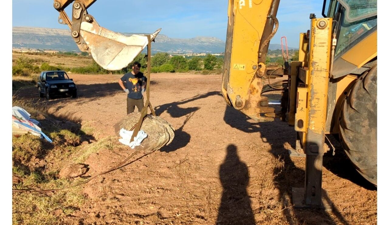 Huella de un dinosaurio gigante