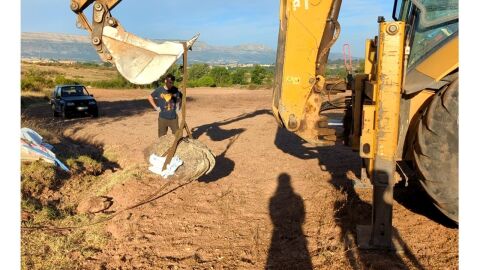 Huella de un dinosaurio gigante