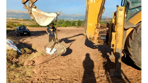 Huella de un dinosaurio gigante Huella de un dinosaurio gigante
