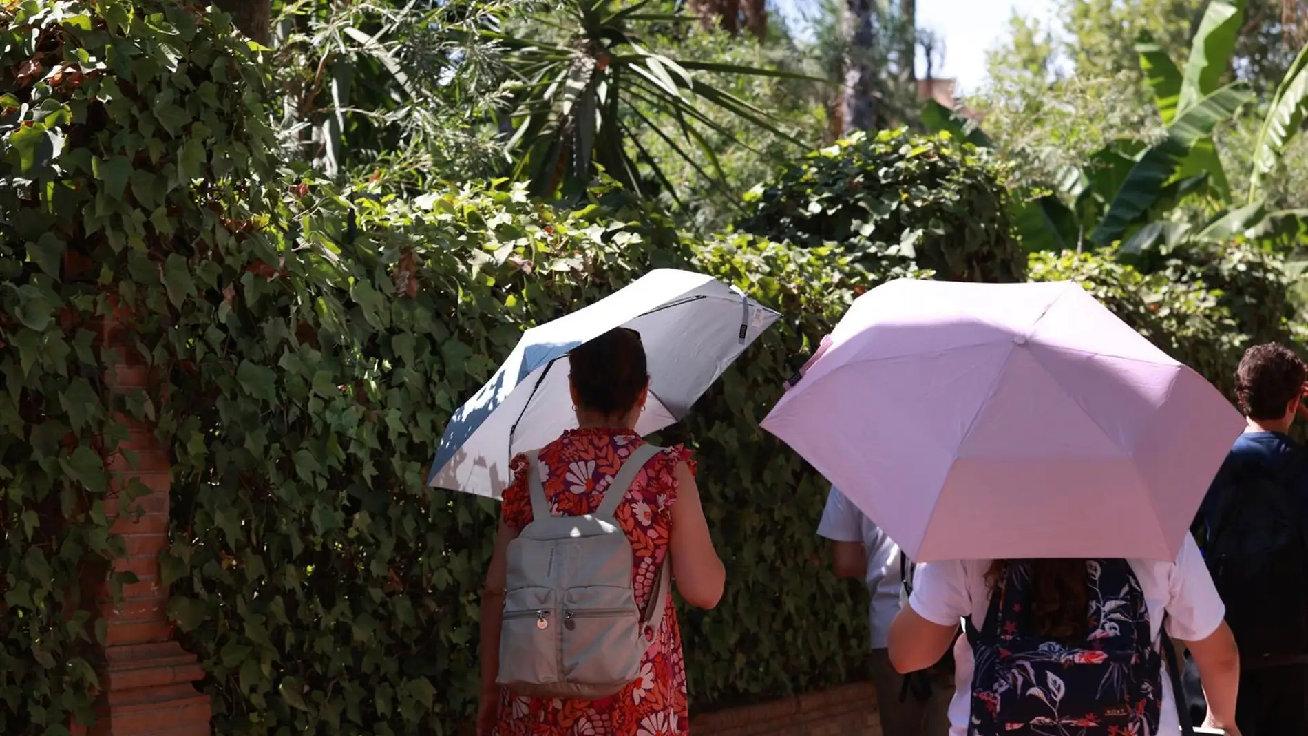 El calor pone en alerta este sábado a toda Andalucía salvo Almería con avisos naranja y amarillo por hasta 40ºC El calor pone en alerta este sábado a toda Andalucía salvo Almería con avisos naranja y amarillo por hasta 40ºC