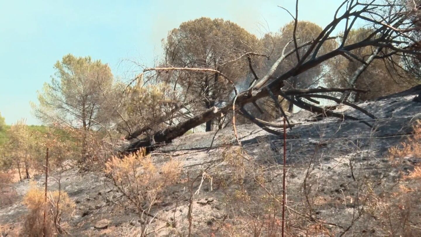 Incendio en Niebla (Huelva)
