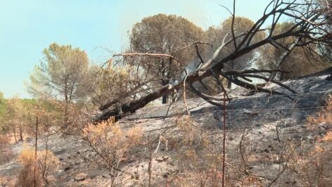Incendio en Niebla (Huelva)