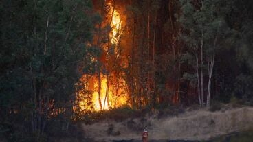  La EMA comunica el desalojo preventivo de 340 personas ante la evoluci&oacute;n del incendio de Niebla (Huelva)