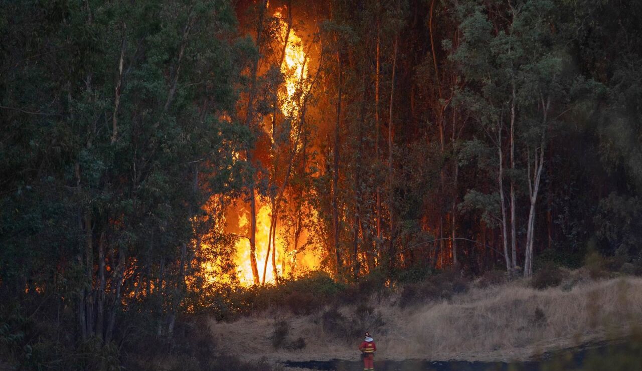  La EMA comunica el desalojo preventivo de 340 personas ante la evoluci&oacute;n del incendio de Niebla (Huelva)
