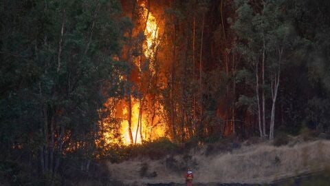  La EMA comunica el desalojo preventivo de 340 personas ante la evoluci&oacute;n del incendio de Niebla (Huelva)