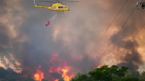Ascienden a 467 las personas desalojadas en el incendio de Niebla en Huelva Ascienden a 467 las personas desalojadas en el incendio de Niebla en Huelva