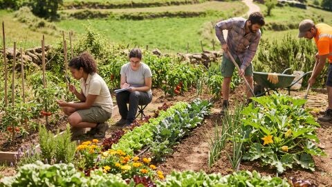 Ayudas pr&aacute;cticas universitarios entorno rural